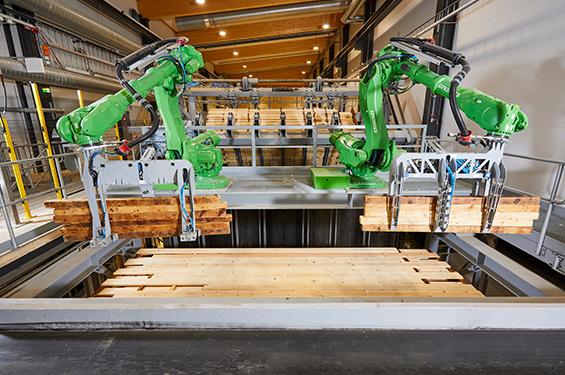 SER - Dunnage Removal Robot